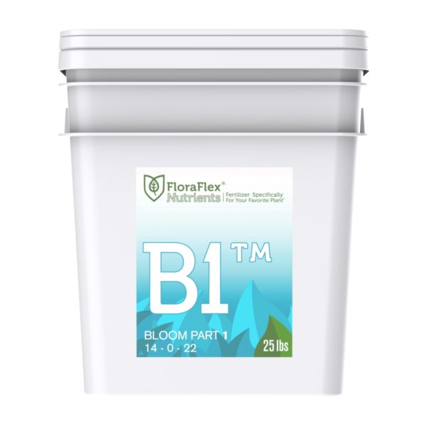 B1 - Bloom/Flower - Deel 1