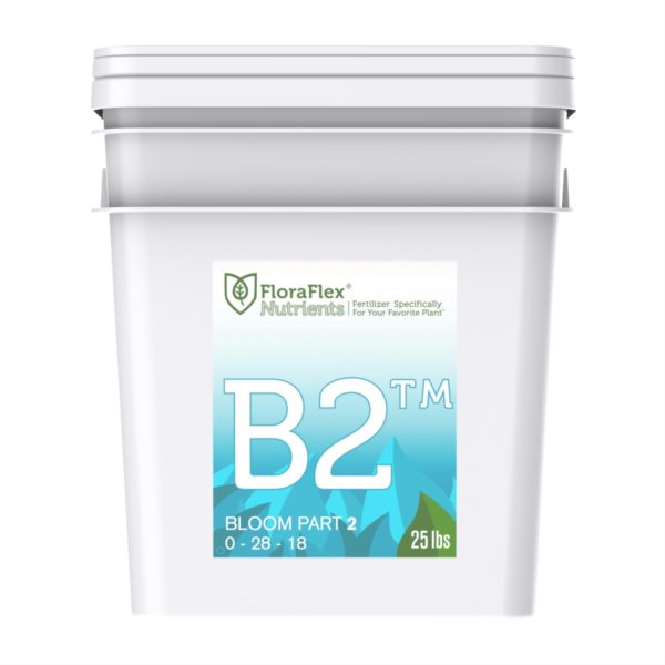 B2 - Bloom/Flower - Deel 2