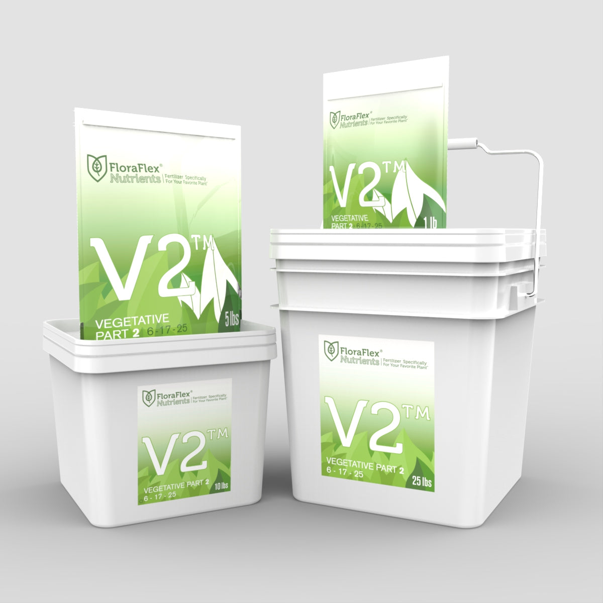 V2 - Vegative - Part 2